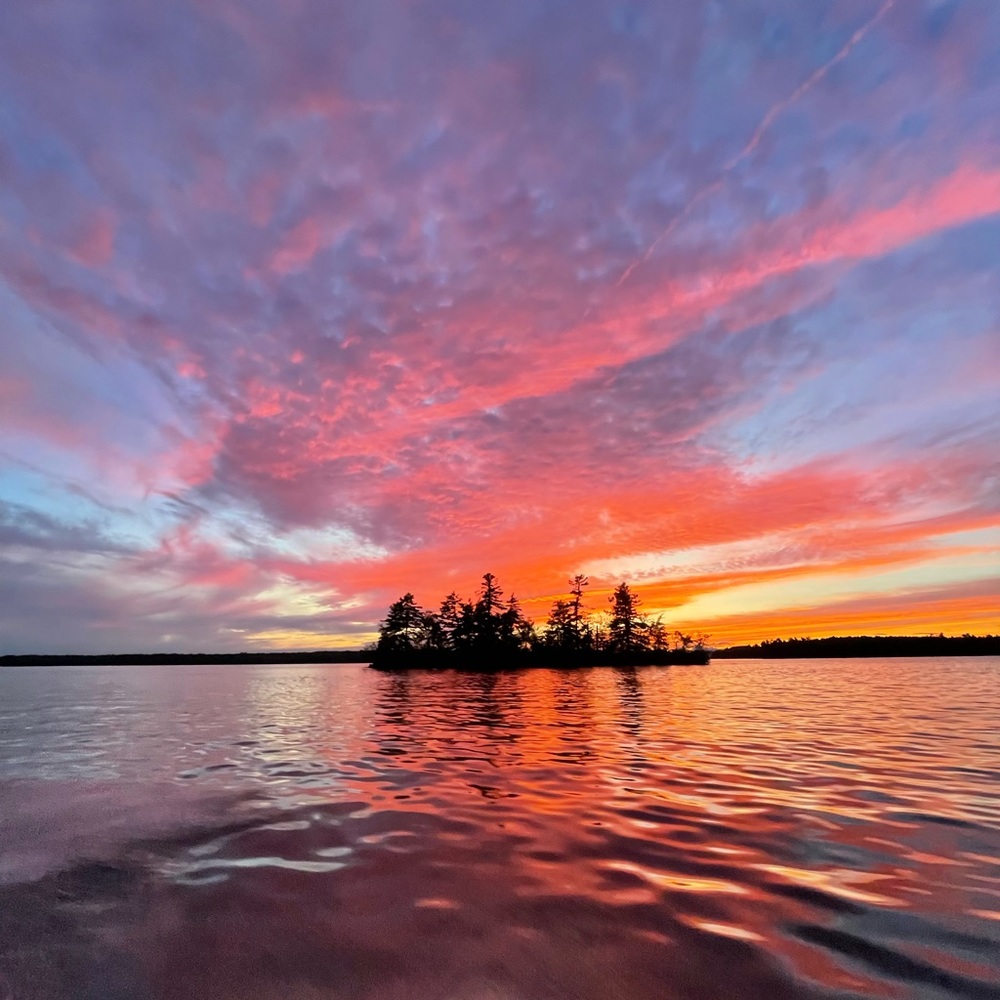 Meet your Posher, Liz